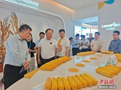 取、取粤港澳大湾区联动成长